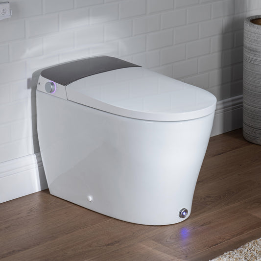 Casta Diva Smart Toilet with Tank and Bidet Built-in Powerful Auto Flushing Auto Open/Close CD-Y060