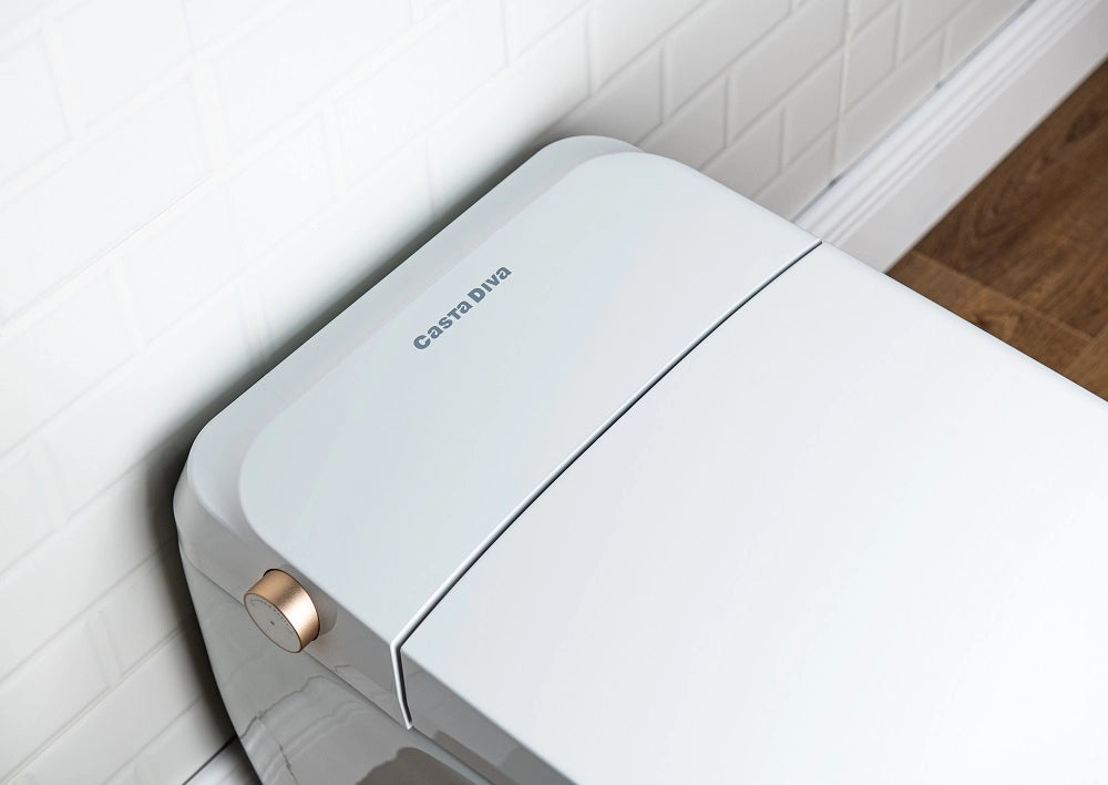 Bidet seat replacement for CD-Y070