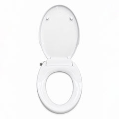 CASTA DIVA CD-BT04 Upper Cover and Seat (Replacement)