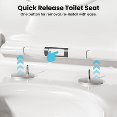 One-Piece Elongated Toilet, 17.5" ADA Comfort Height, 1.0/1.28 GPF Dual Flush, MaP 1000g, Soft Close Seat, White CD-T006