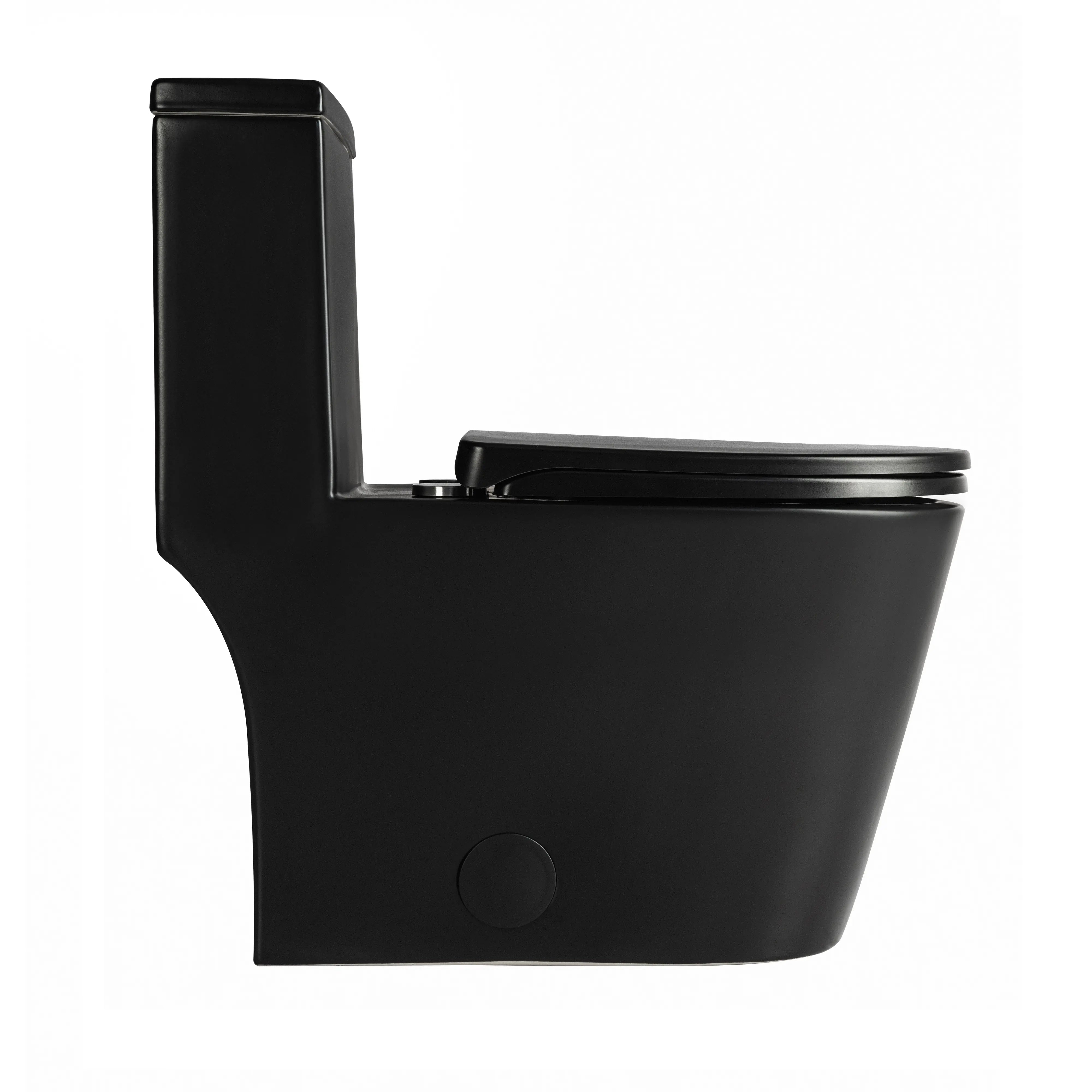 Side profile of Casta Diva modern black one-piece toilet with 12-inch rough-in, model CD-T002
