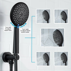 Casta Diva Rain Shower Head with Handheld Spray, Round, Black CD-S01B-4
