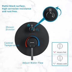 Casta Diva Rain Shower Head with Handheld Spray, Round, Black CD-S01B-5