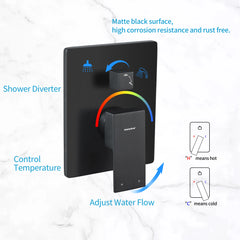 Casta Diva Rain Shower Head with Handheld Spray, Square, Black CD-S02B-6