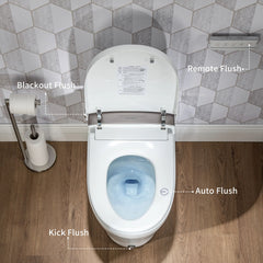 Casta Diva Smart Bidet Toilet with Concealed Tank, Auto OpenClose CD-Y060-10