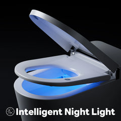 Soft night light illuminating the bowl for safe nighttime use on Casta Diva smart toilet, model CD-K010