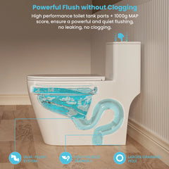 Powerful flushing performance of Casta Diva ADA elongated toilet with dual flush system, model CD-T005
