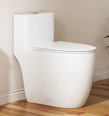 One-Piece Elongated Toilet, 17.5" ADA Comfort Height, 1.0/1.28 GPF Dual Flush, MaP 1000g, Soft Close Seat, White CD-T006
