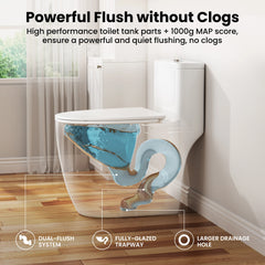 One-Piece Elongated Toilet, 17.5" ADA Comfort Height, 1.0/1.28 GPF Dual Flush, MaP 1000g, Soft Close Seat, White CD-T006