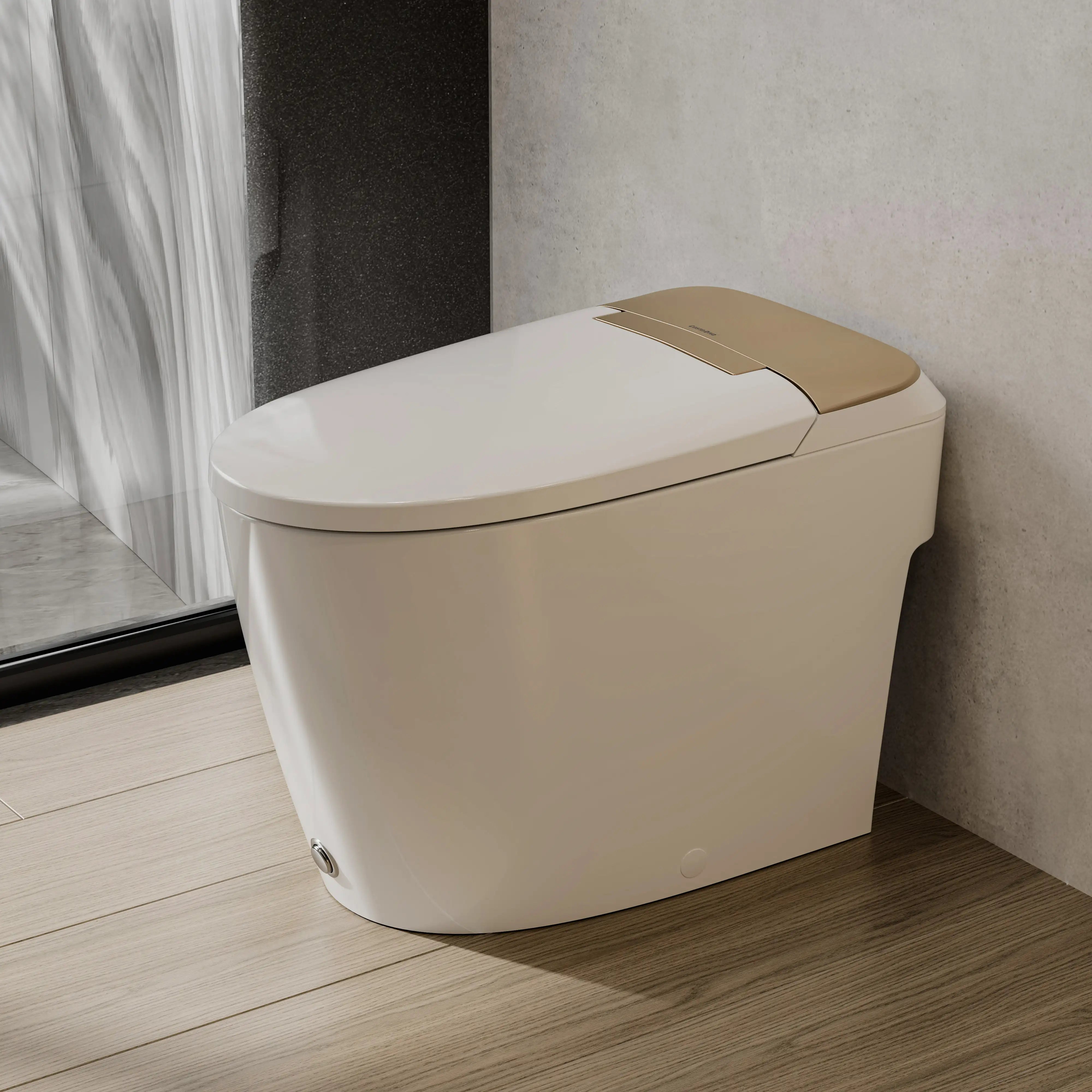 Casta Diva Non-Electric Bidet Toilet, Air-Assisted Flush, Self-Cleaning Nozzles, Space-Saving Design | CD-W10V