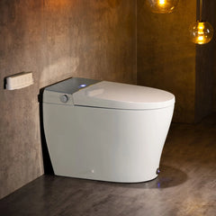 Casta Diva Smart Toilet Elongated Bidet Toilet, Built-in Tank & Pump for Powerful Flush, Auto Open/Close Lid, Heated Seat, Warm Air Dryer, Wireless Remote Control