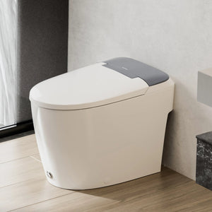 Casta Diva Non-Electric Bidet Toilet, Air-Assisted Flush, Self-Cleaning Nozzles, Space-Saving Design | CD-W10V