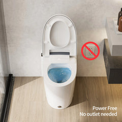 Non-electric design requiring no power connection on Casta Diva bidet toilet, model CD-W10V