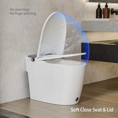Soft-close toilet seat lid feature of Casta Diva non-electric bidet toilet, model CD-W10V