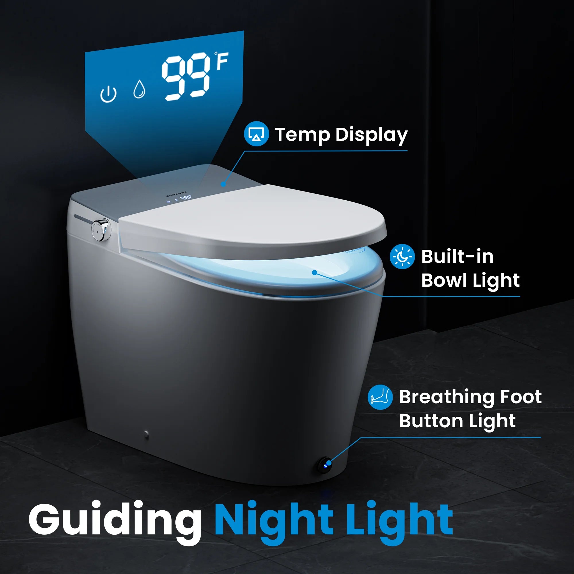 Casta Diva Smart Bidet Toilet, Auto OpenClose, Buit-in Tank CD-Y090-13