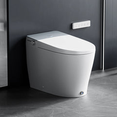 Casta Diva Smart Bidet Toilet, Auto OpenClose, Buit-in Tank CD-Y090-1