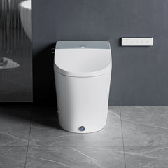 Casta Diva Smart Bidet Toilet, Auto OpenClose, Buit-in Tank CD-Y090-2
