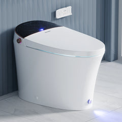 Casta Diva Smart Bidet Toilet, Auto OpenClose, Tankless  CD-Y010-1