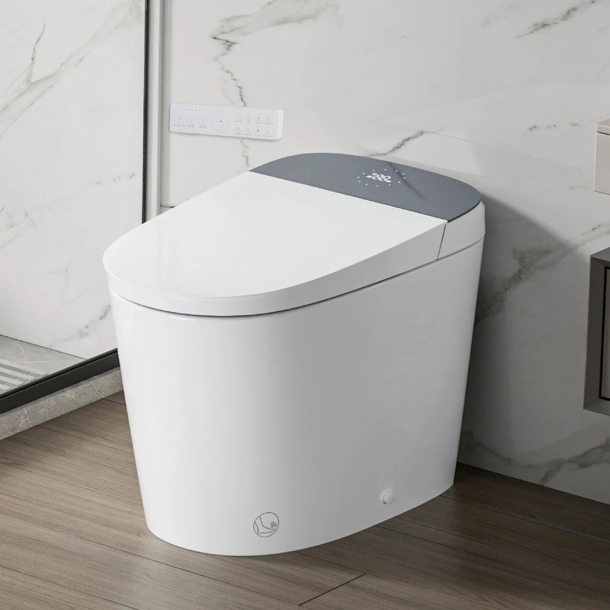 Casta Diva Smart Bidet Toilet with, Auto OpenClose, ADA compliant, Concealed Tank  CD-U010-1