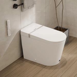 Casta Diva Smart Toilet with Wider Toilet Seat, Heated Seat, Auto Flush, UV Sterilization, Foot Sensor | CD-K020