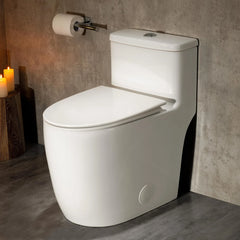 CASTA DIVA CD-T006 – One-Piece Elongated Toilet with ADA-Compliant, Dual Flush High Efficiency 1.0/1.28 GPF & MAP 1000g, 12'' Rough-in, White